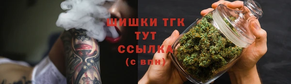 apvp Павлово