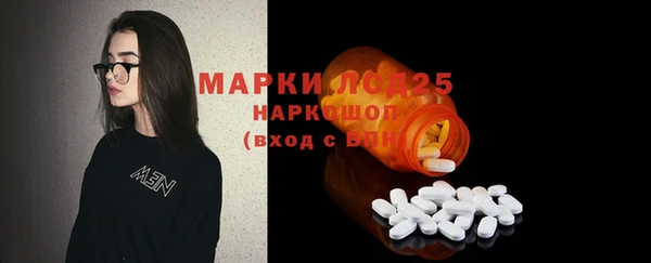 стафф Корсаков