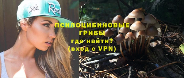 а пвп мука Семёнов